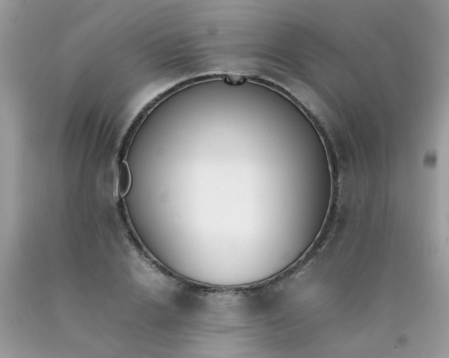 X0000090410838200707272047