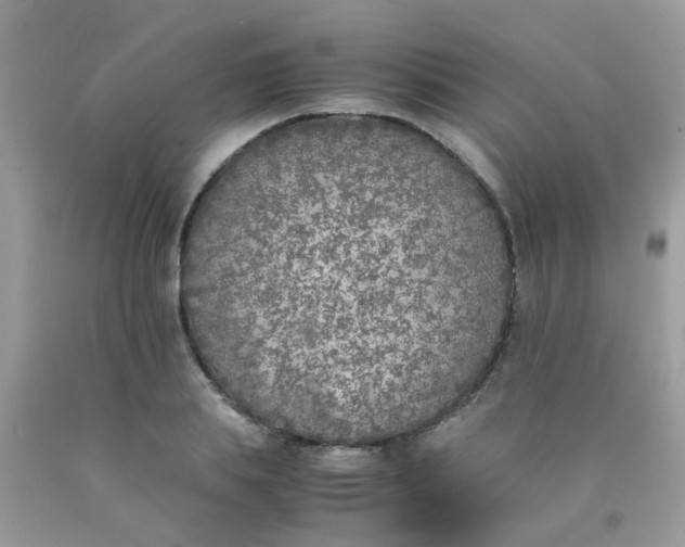 X0000090410839200707272047