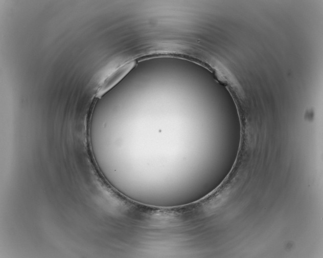 X0000090410842200707272047