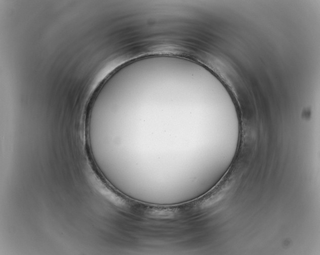 X0000090410843200707272047