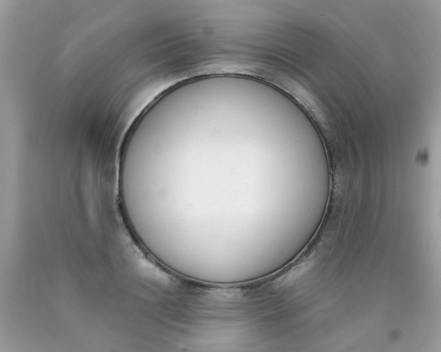 X0000090410844200707272047