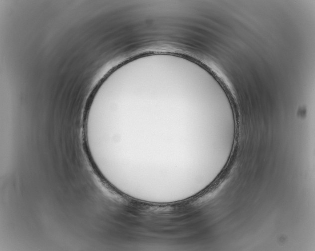 X0000090410845200707272047