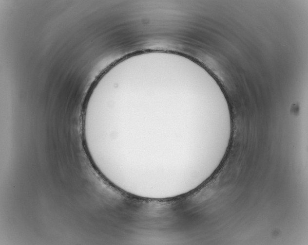 X0000090410848200707272047