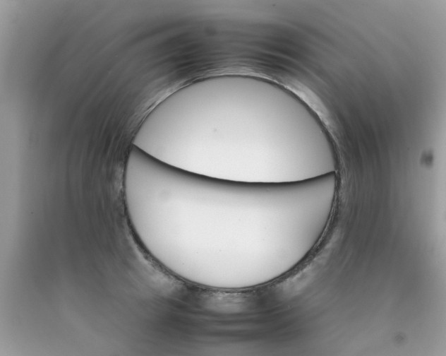 X0000090410849200707272047