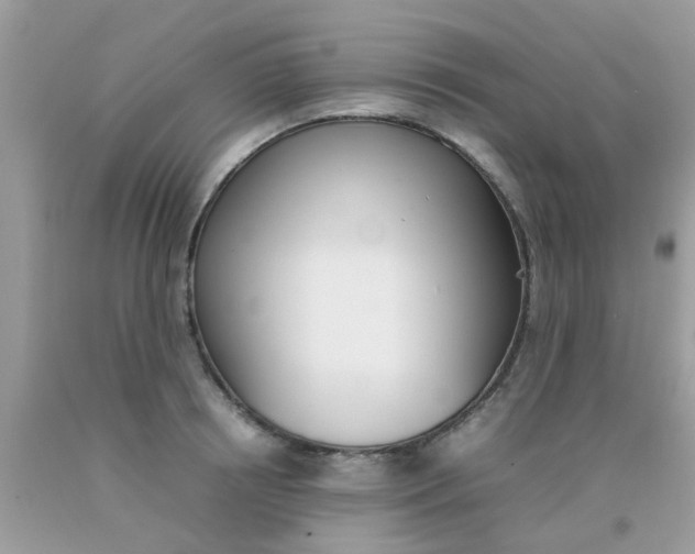 X0000090410850200707272047