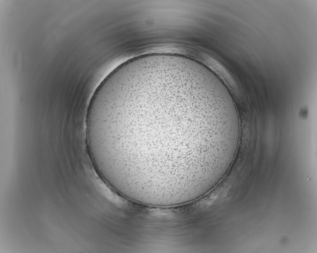 X0000090410852200707272047