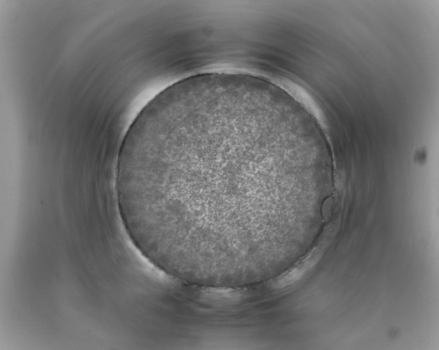 X0000090410855200707272047