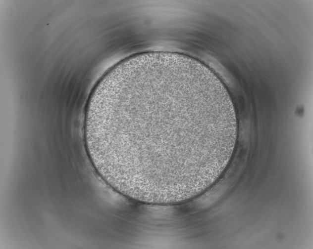 X0000090410856200707272047