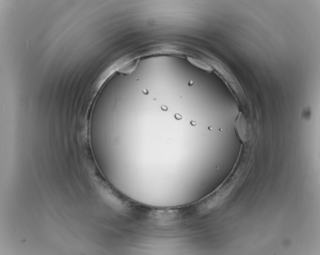 X0000090410858200707272047