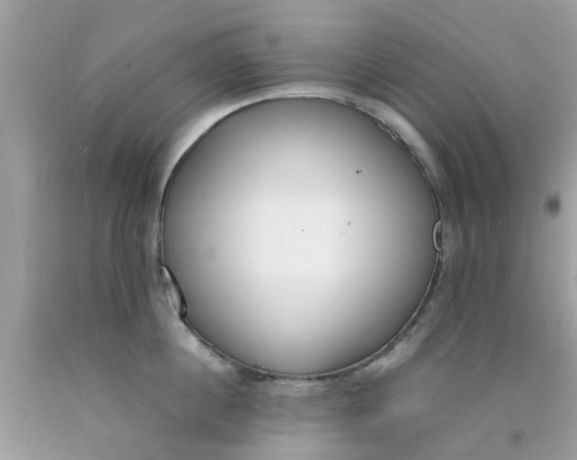 X0000090410860200707272047
