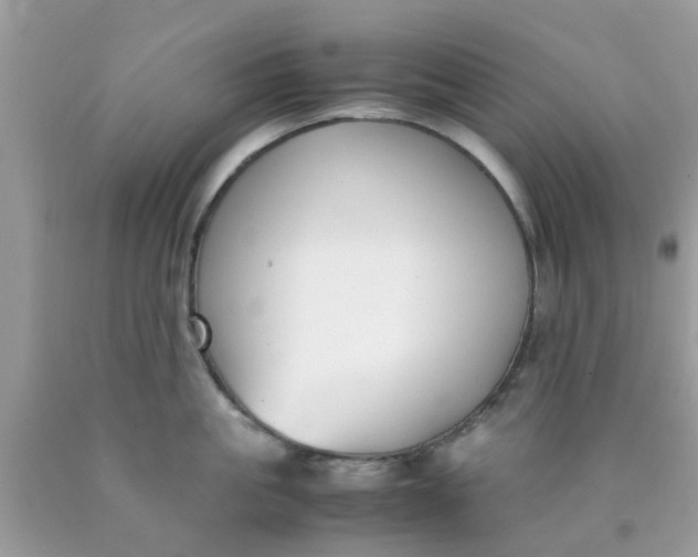 X0000090410861200707272047