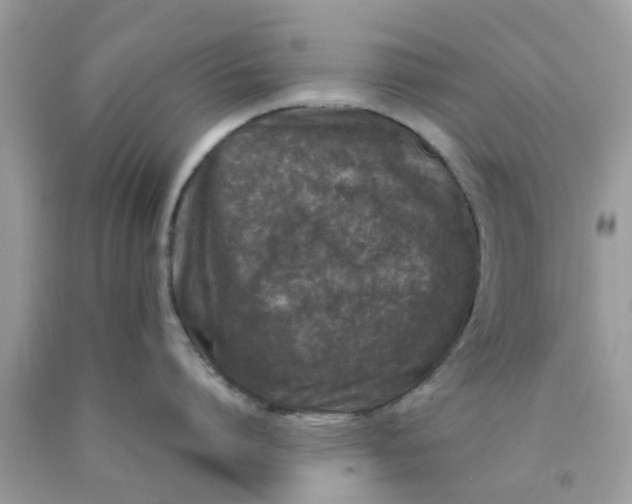 X0000090410864200707272047