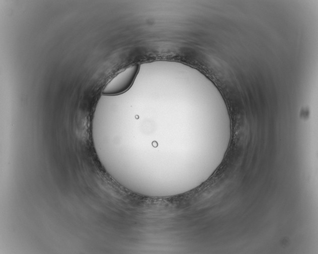 X0000090410866200707272047