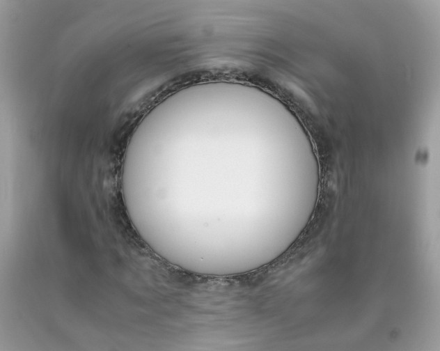 X0000090410869200707272047