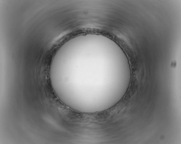 X0000090410870200707272047