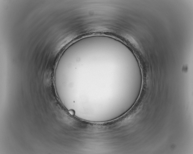 X0000090410873200707272047