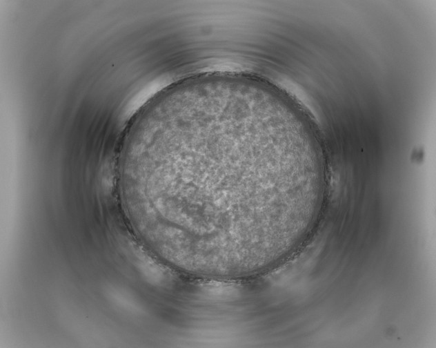 X0000090410874200707272047