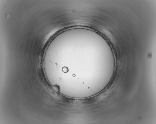 X0000090410875200707272047