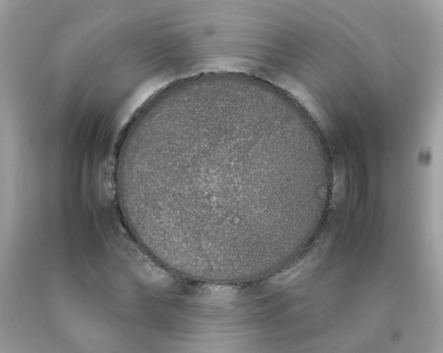 X0000090410878200707272047