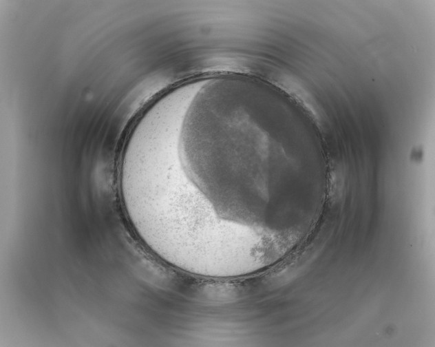X0000090410882200707272047