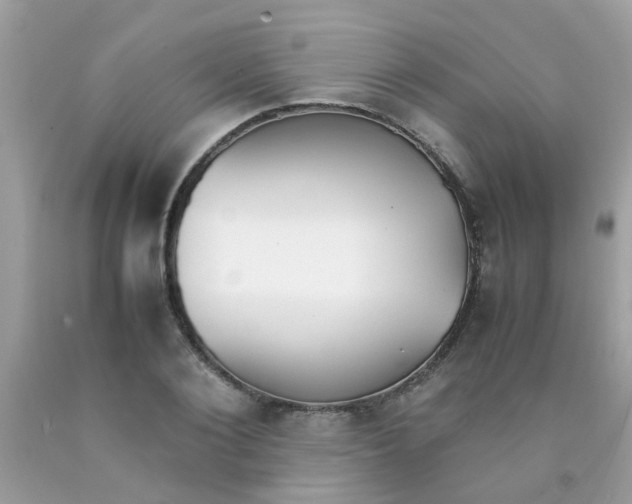 X0000090410884200707272047