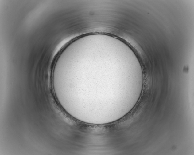X0000090410886200707272047