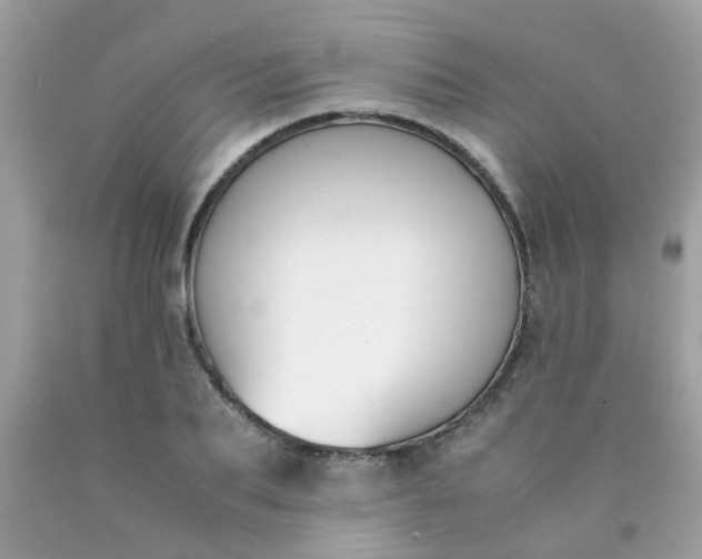 X0000090410887200707272047