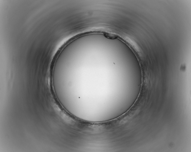 X0000090410888200707272047