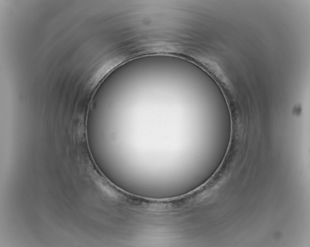 X0000090410889200707272047