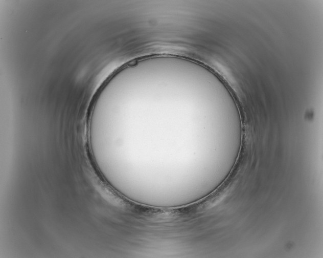 X0000090410891200707272047