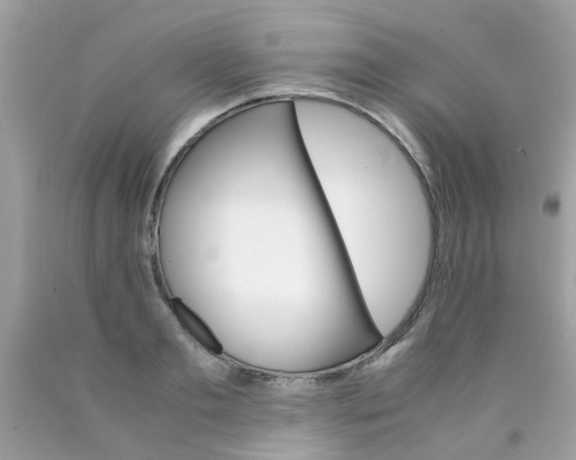 X0000090410893200707272047