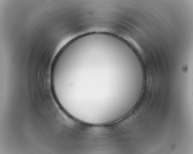 X0000090410894200707272047
