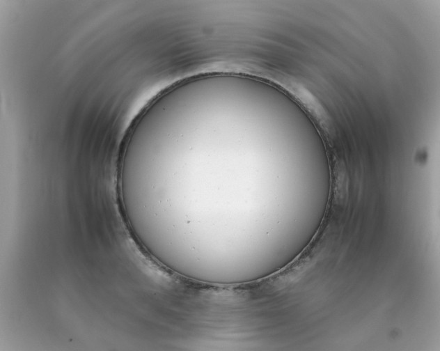 X0000090410896200707272047
