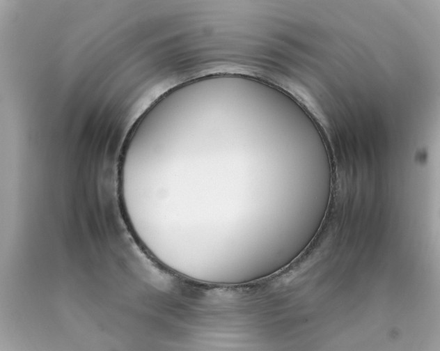 X0000090410898200707272046