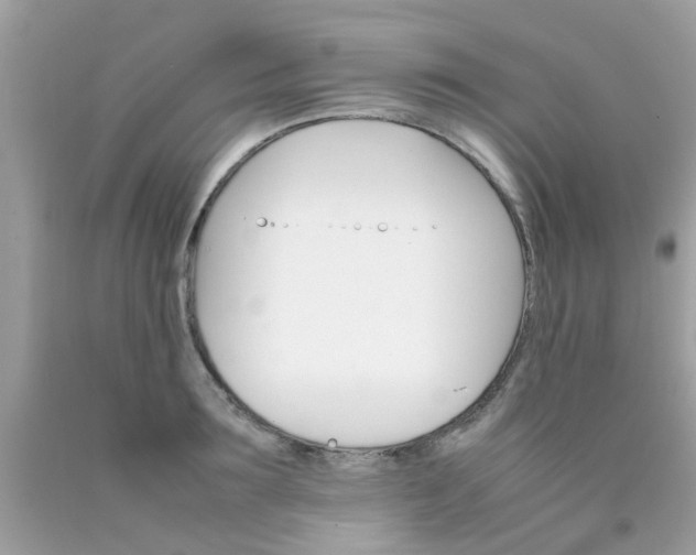 X0000090410899200707272046