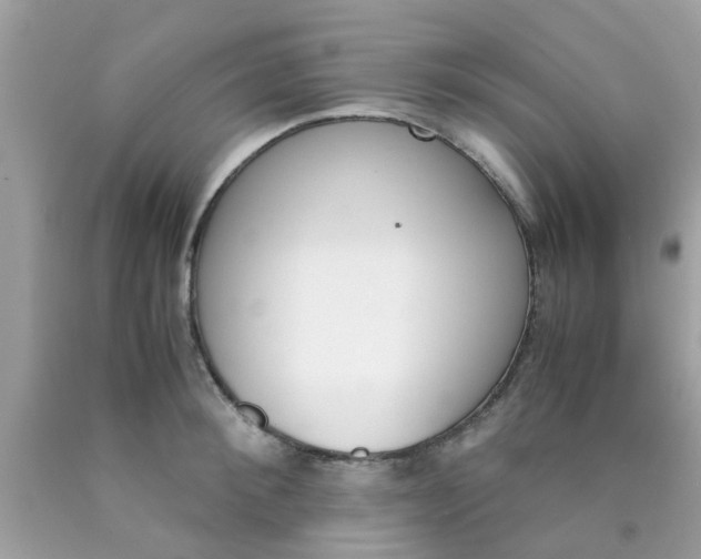 X0000090410900200707272046