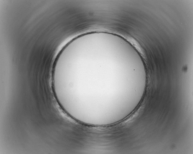X0000090410904200707272046