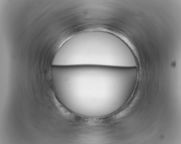 X0000090410905200707272046