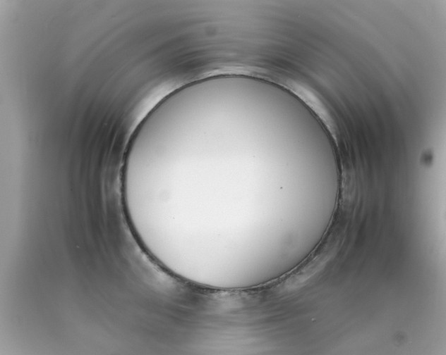 X0000090410906200707272046