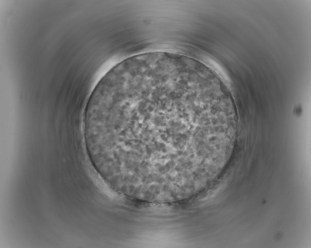 X0000090410907200707272046
