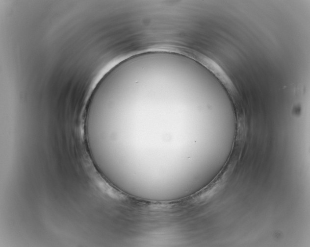 X0000090410908200707272046