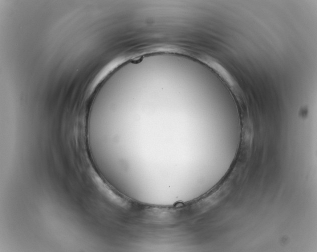 X0000090410910200707272046