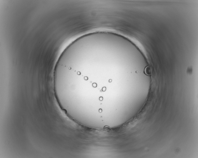 X0000090410911200707272046