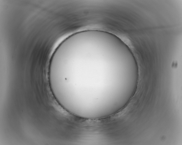 X0000090410912200707272046