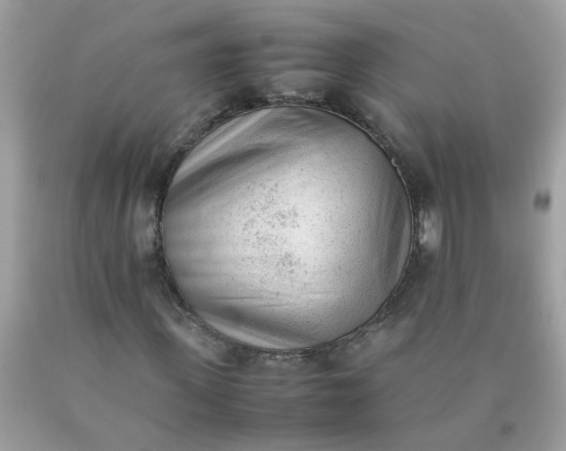 X0000090410915200707272046