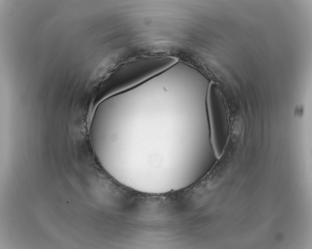 X0000090410916200707272046