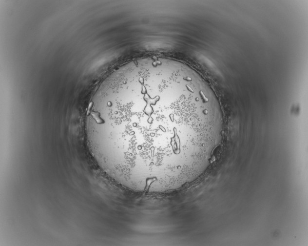 X0000090410917200707272046