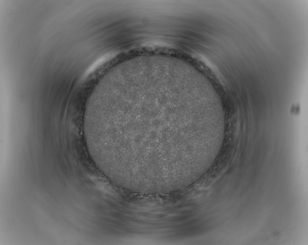 X0000090410919200707272046