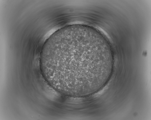 X0000090410921200707272046