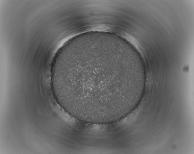 X0000090410923200707272046